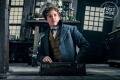 Animales Fantásticos 2: Newt Scamander adentro de su maleta (HD) Animales Fantásticos 2: Newt Scamander adentro de su maleta (HD)