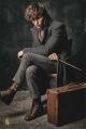 Newt Scamander sentado Newt Scamander sentado