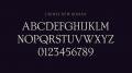 Prueba oficial de Crimes New Roman, la letra del logo de Animales Fantásticos 2 Prueba oficial de Crimes New Roman, la letra del logo de Animales Fantásticos 2