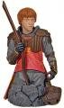 Ron vestido de quidditch Ron vestido de quidditch