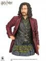 Figura de Sirius Figura de Sirius