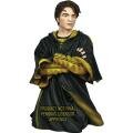 Figura de Cedric Diggory Figura de Cedric Diggory